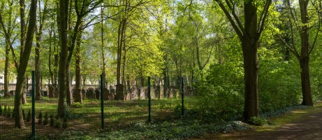 Gertraudenfriedhof Halle Streifinger 04