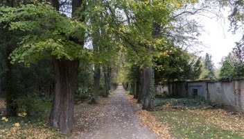 Friedhof Schmidtmannstraße 41